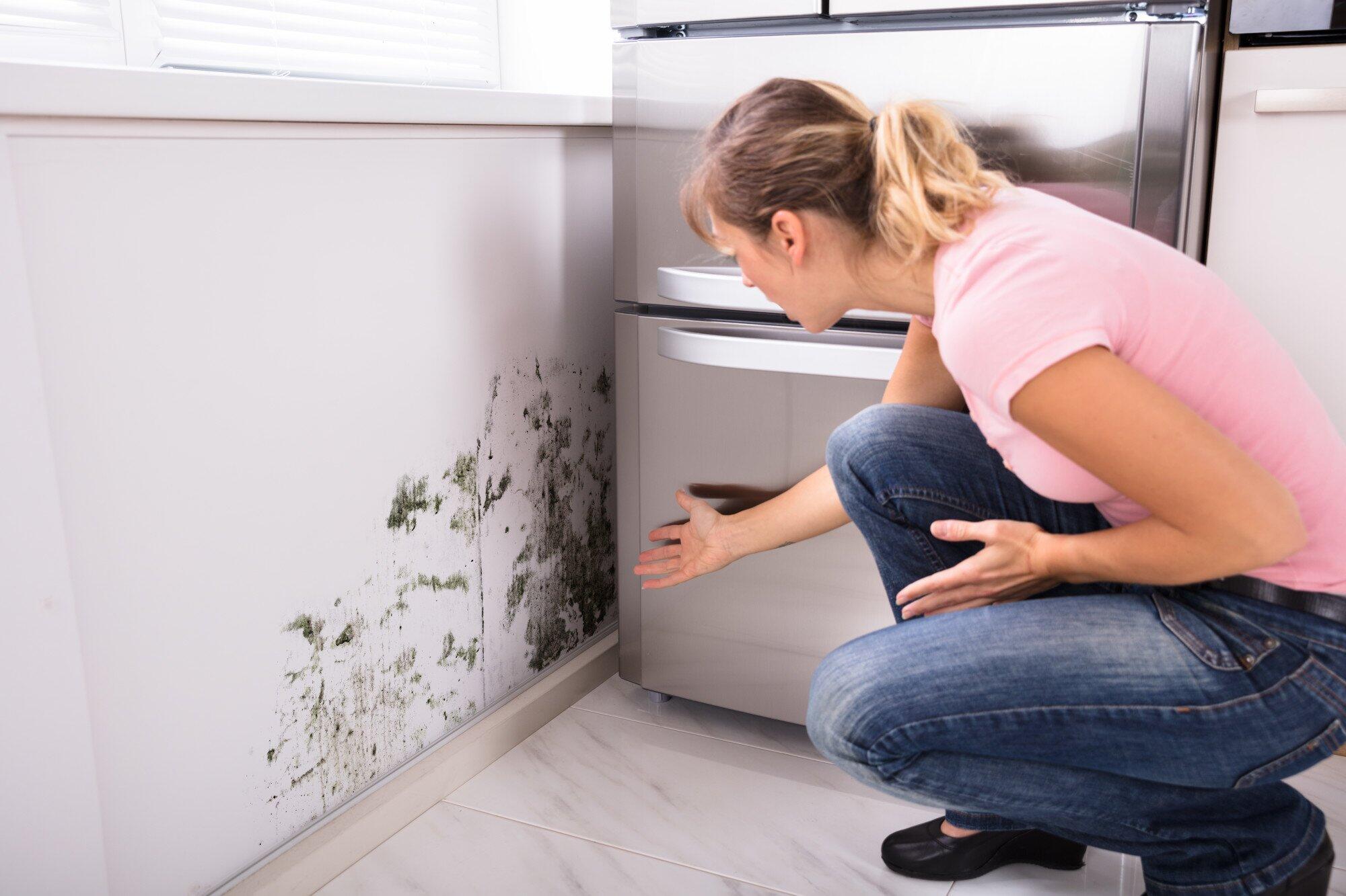 Combatting Mold and Mildew: Air Purification Solutions for Navarre, FL Homes